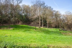 Woodland Opposite- click for photo gallery